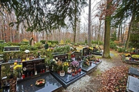 Forest cemetery