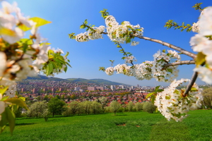 View of Burešov