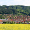 pohled na město_foto Dana Zelená